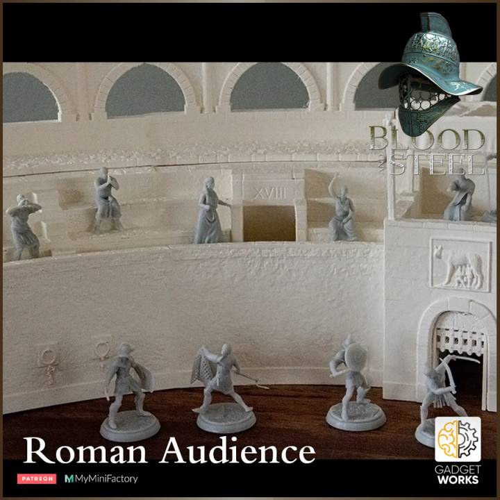 Roman Gladiator Audience - Blood and Steel image