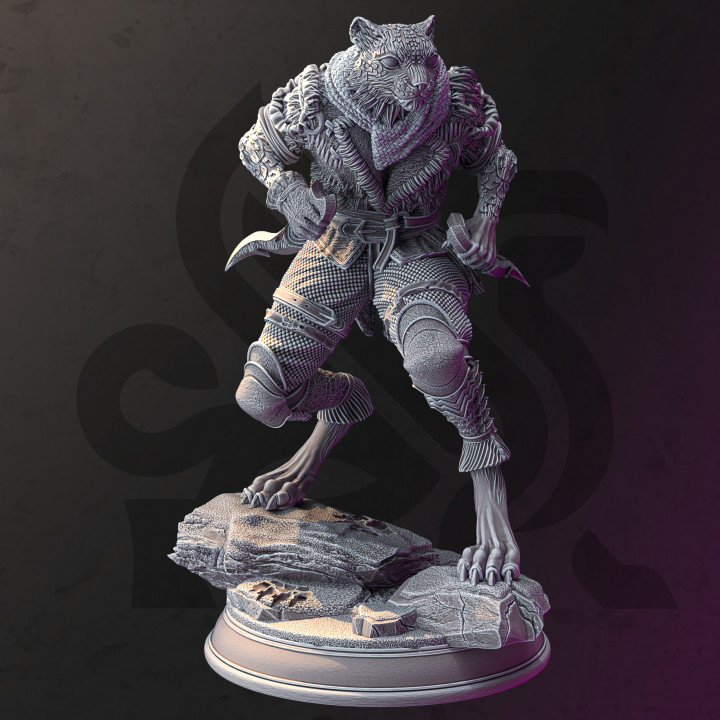 Tabaxi Snow Leopard Rogue - Curatio Ounce image