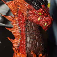 ELDER RED deals DRAGON BUST