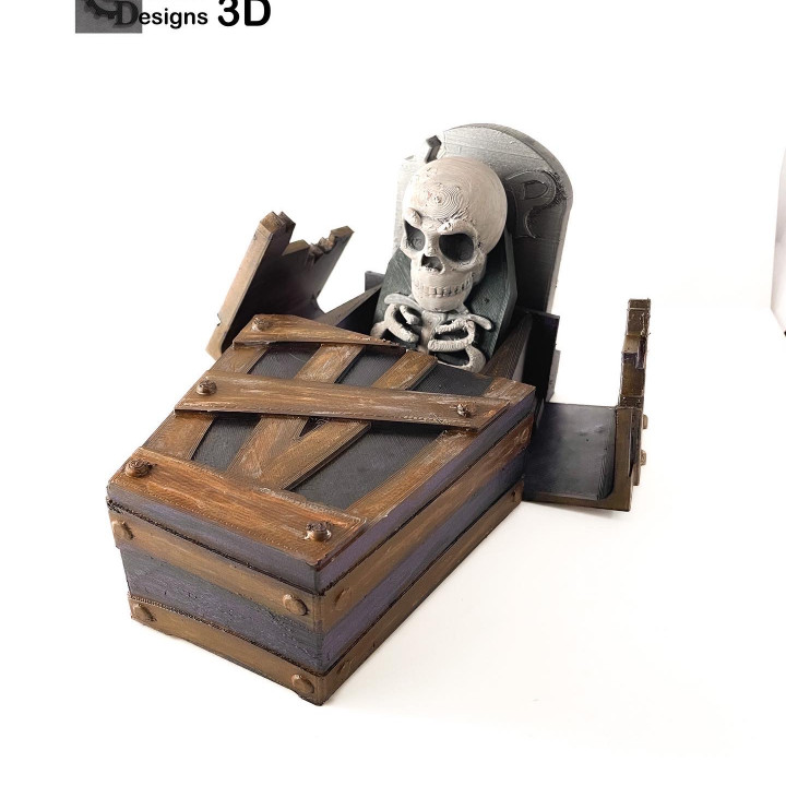 Skeleton Coffin image