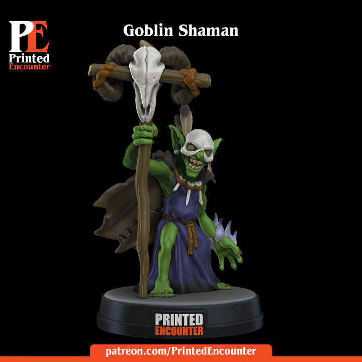 Goblin Shaman / Warlock / Witch Doctor image