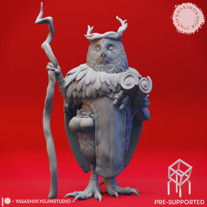 Owlin Druid - Tabletop Miniature (Pre-Supported) image