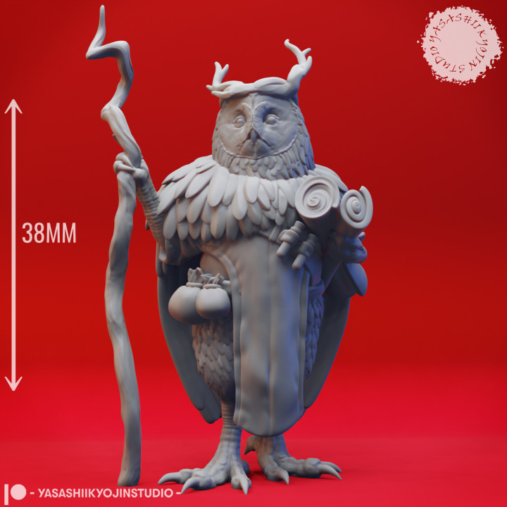 Owlin Druid - Tabletop Miniature (Pre-Supported) image