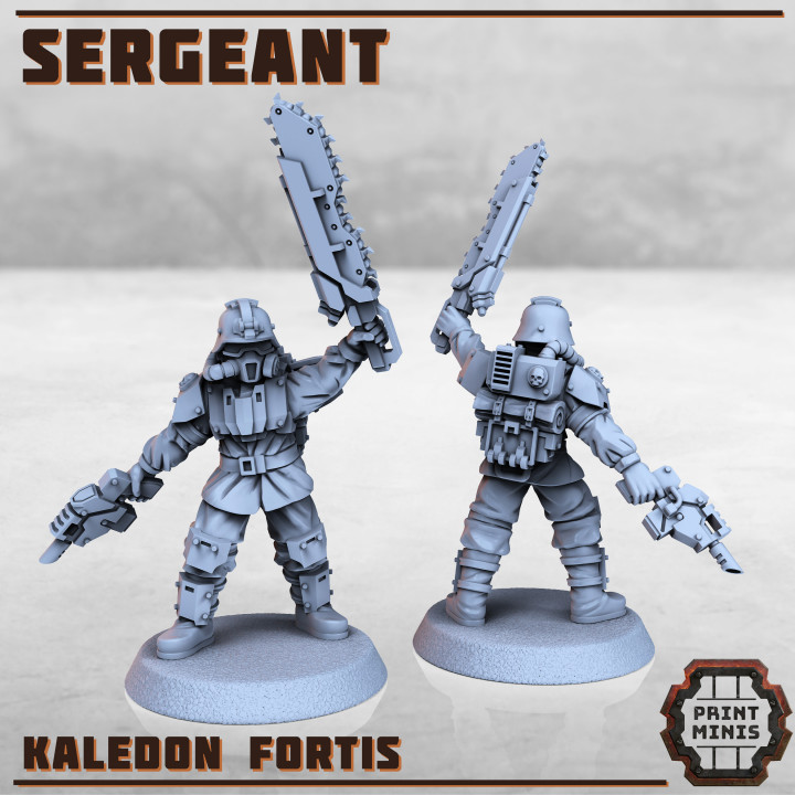 Sergeant - Kaledon Fortis Army image