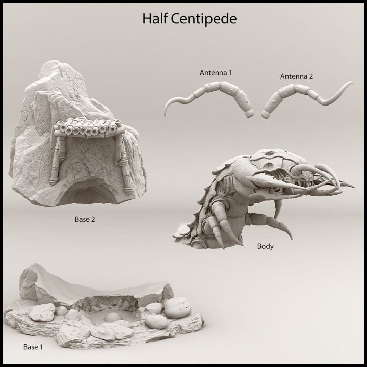 Half Centipede