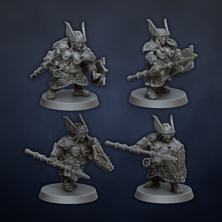 Dwarf Valkyries