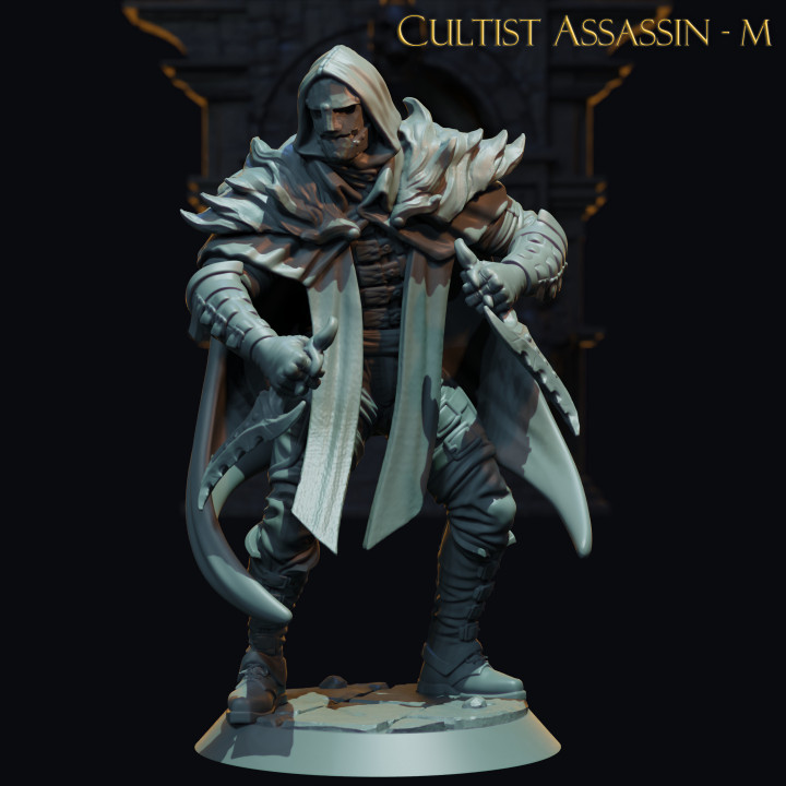 Cultist Assassin image