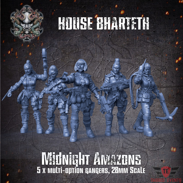 House Bharteth - Midnight Amazon Gang image