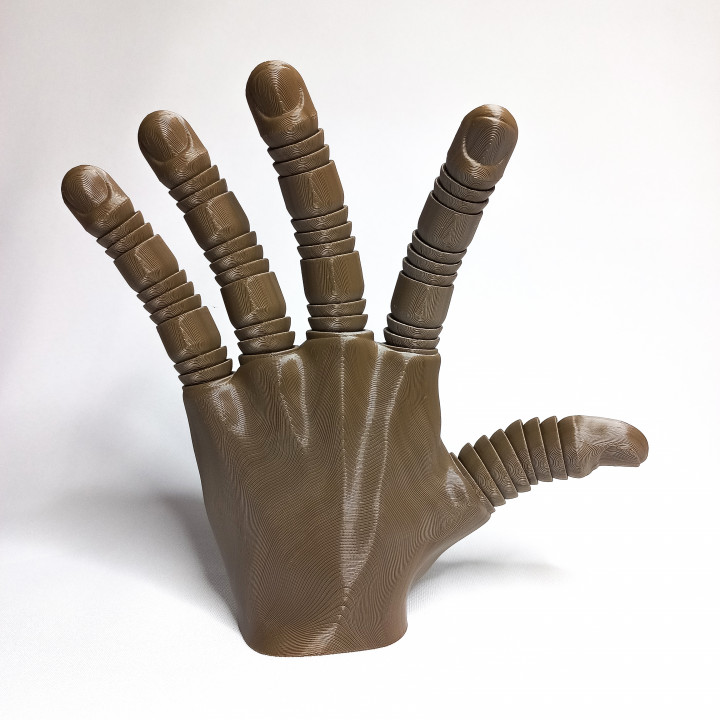 ARTICULATED HANDS image