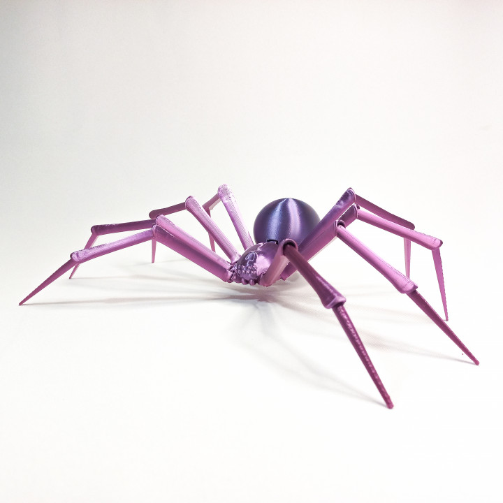 BLACK WIDOW SPIDER image