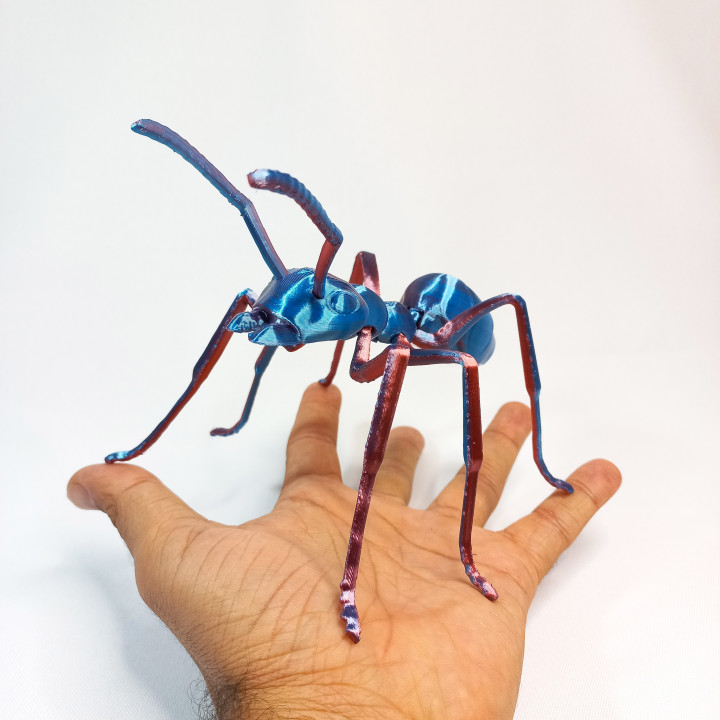 ARTICULATED ANT