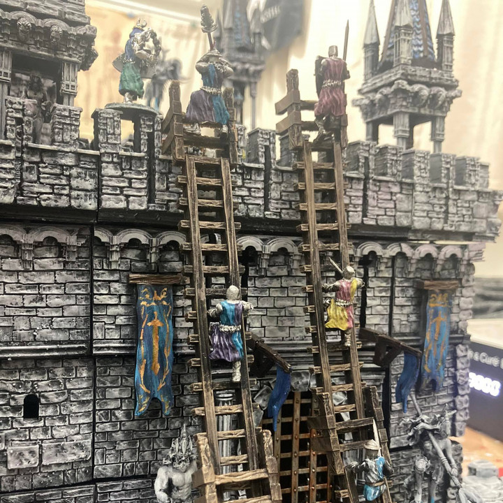 Siege Ladder with Combatants