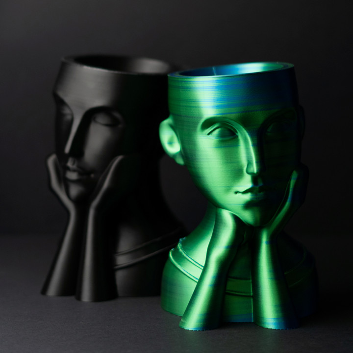 Face Vases image