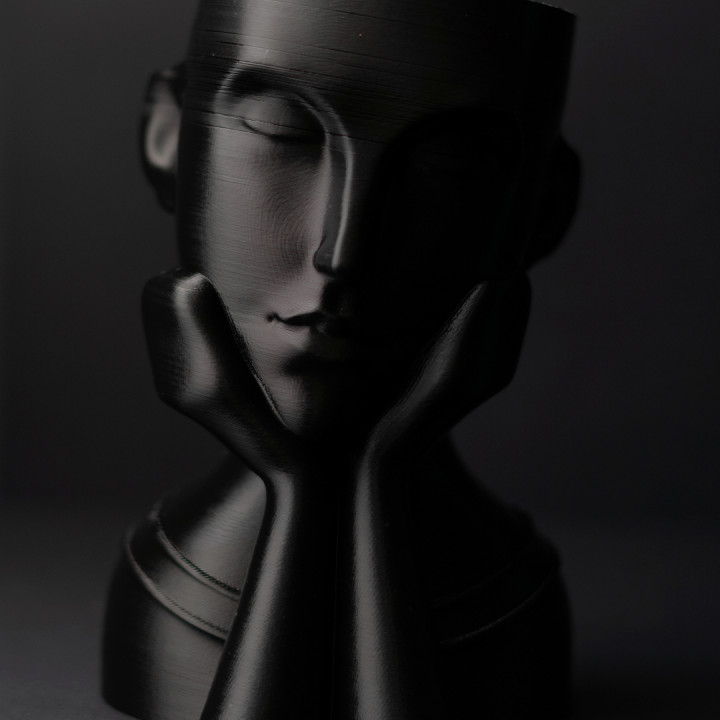 Face Vases image