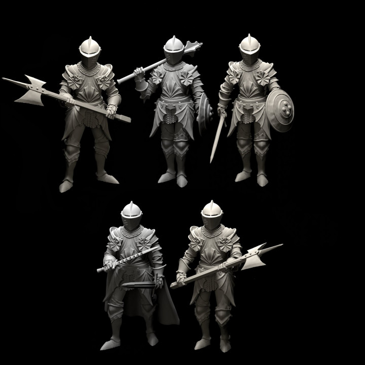 Queen's Guard Knights x5 image