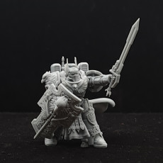 Picture of print of Imperial Marine Sworn Guard Champion