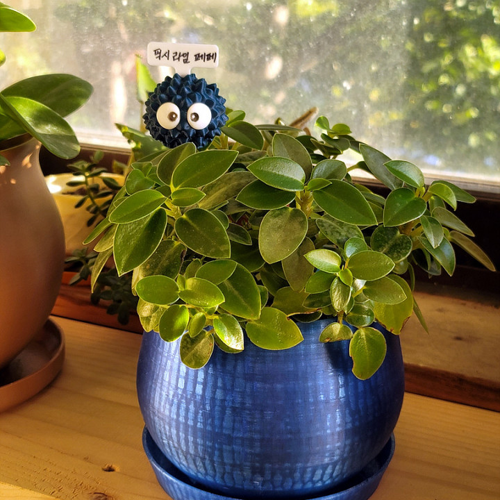 Plant Name Tag 식물이름표