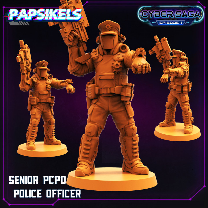 SENIOR PCPD POLICE OFFICER image