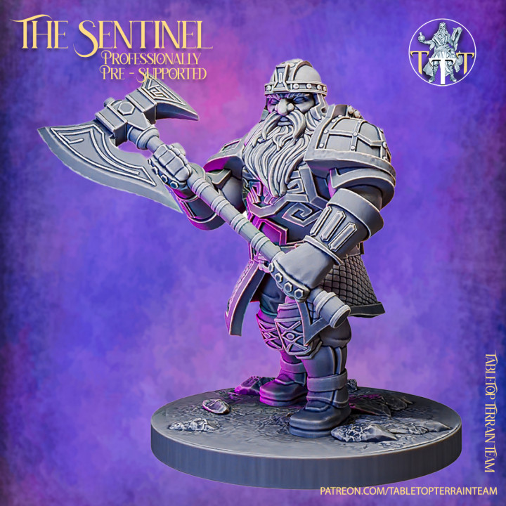 The Sentinel