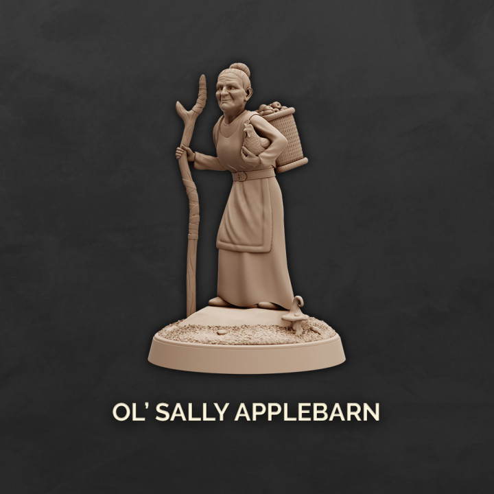 Old Sally Appelbarn image