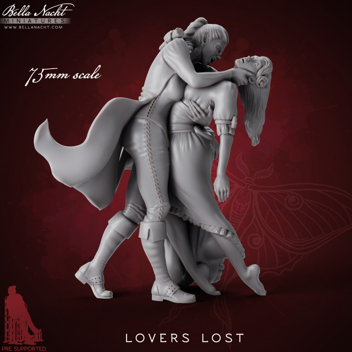 Lovers Lost image