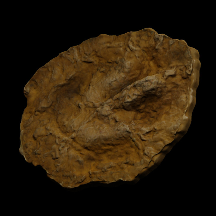 Grallator footprint