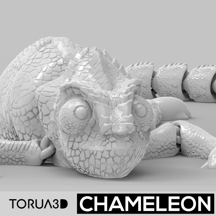 ARTICULATED CHAMELEON #001 image