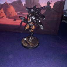 Picture of print of Raven guard anime figurine