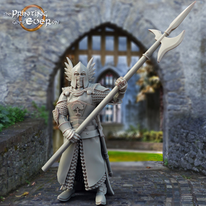King's Guard - Pose B - Presupported image