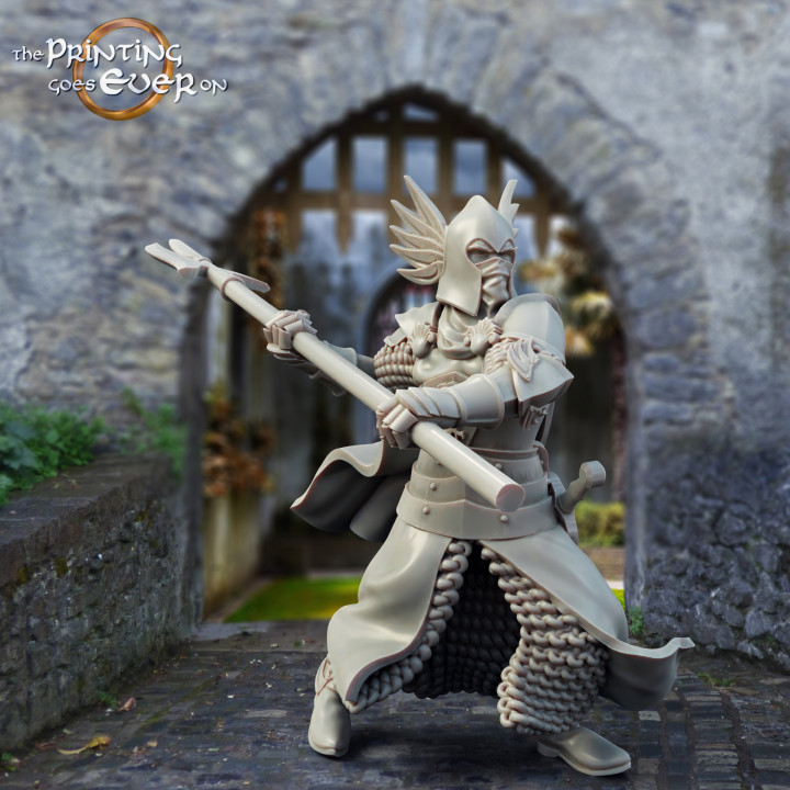 Gonthan Soldiers Bundle - Presupported image