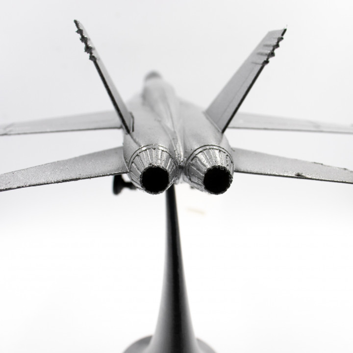 Airplane F/A-18 Hornet McDonnell Douglas Scale 1/50 image