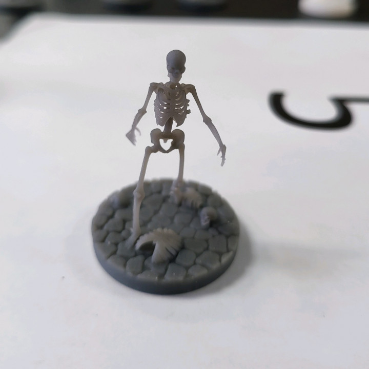 Skeleton and Zombie image