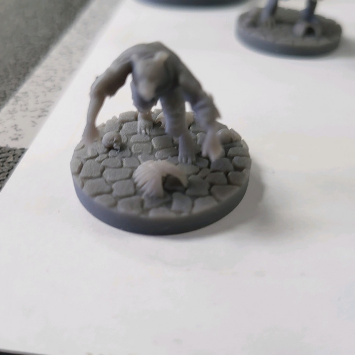 Wererat and Minion