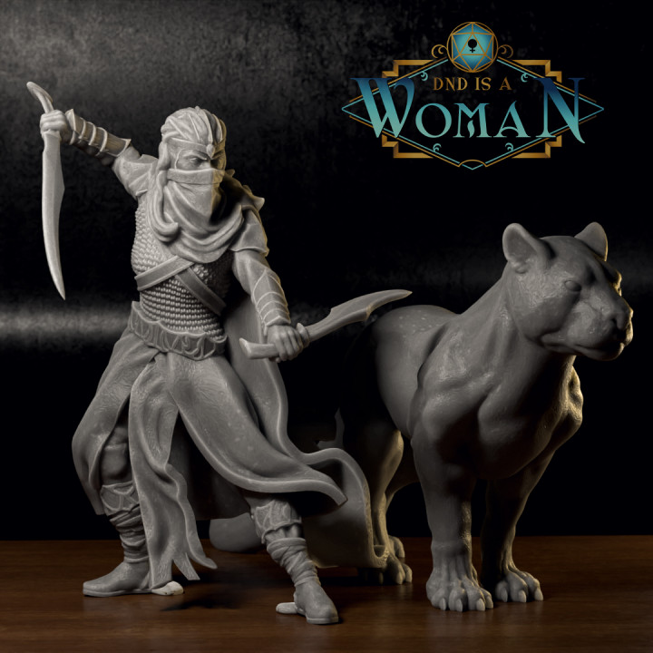 Drow Ranger - Drizira - with panther companion - 28/32mm and 75mm image