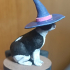 Cat with a Witch Hat print image