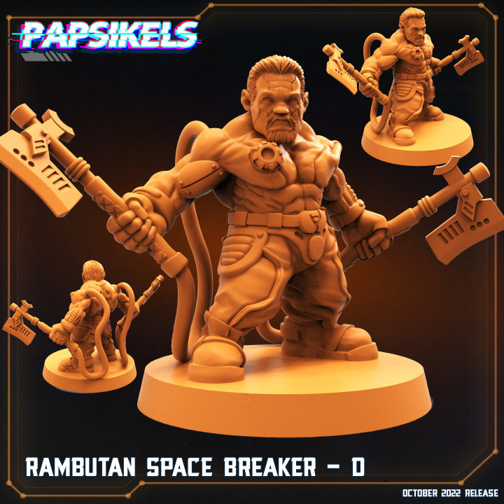 RAMBUTAN SPACE BREAKER - D image