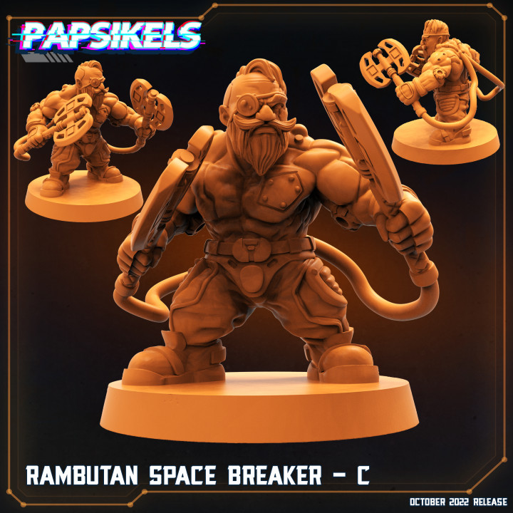 RAMBUTAN SPACE BREAKER - C image