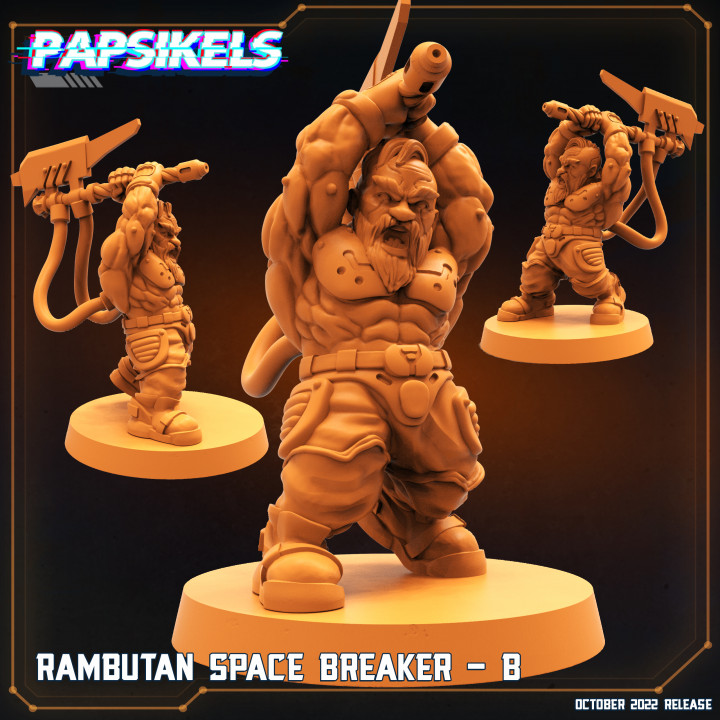 RAMBUTAN SPACE BREAKER - B image