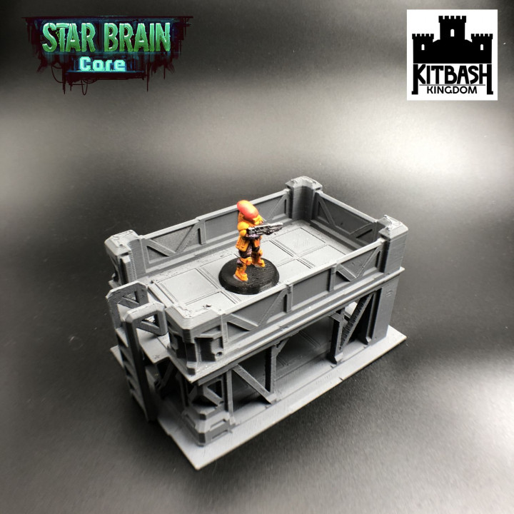 Starbrain Core - Low Scaffold image