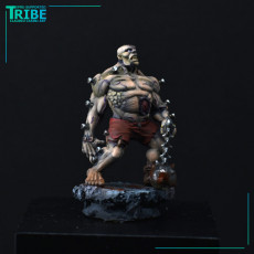 Picture of print of (L 0011) Male flash Golem - Monster of Frankenstein (Large)