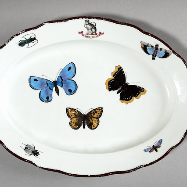 Serving Dish With Butterflies And Beetles