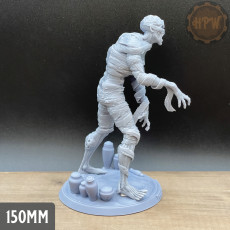 Picture of print of The Mummy ( bust NOT included)