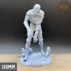 Picture of print of The Mummy ( bust NOT included)