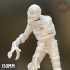The Mummy ( bust NOT included) print image