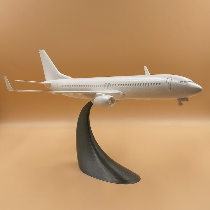 3D Printable Airplane Boeing 737 800 by sliceables