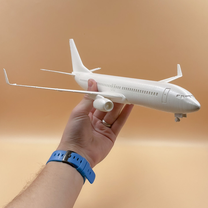 3D Printable Airplane Boeing 737 - 800 by sliceables