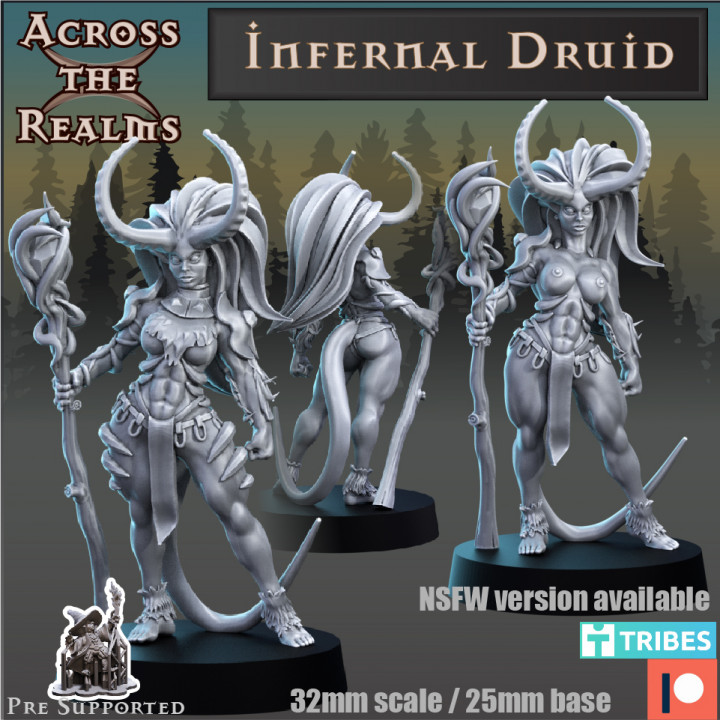 Infernal Druid image