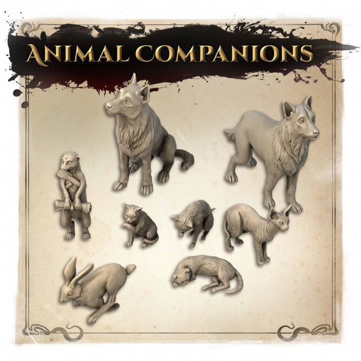 Animal Companions