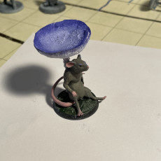 Picture of print of Mouse Sit under mushroom