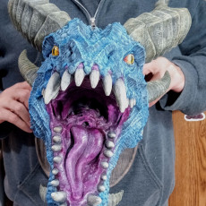 Picture of print of Dragon Head Trophy
